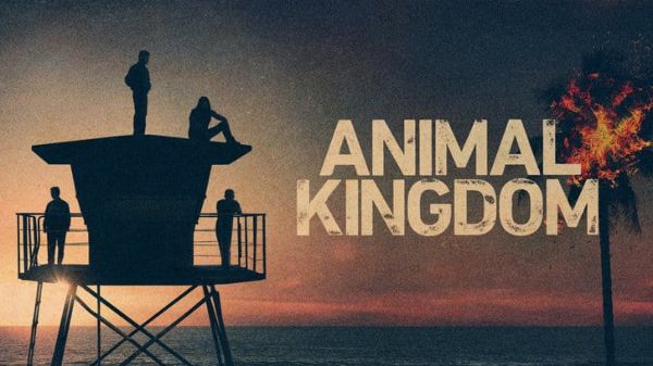 Animal Kingdom Season 5 ตอนที่ 9 วันที่วางจำหน่าย ข่าวประชาสัมพันธ์ และตัวอย่าง