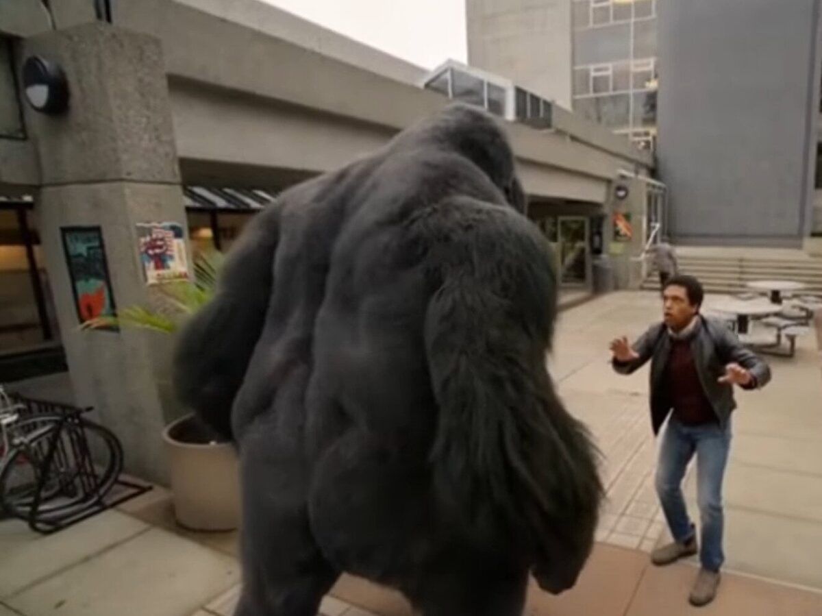 gorilla grod intenta matar a barack obama en leyendas del mañana