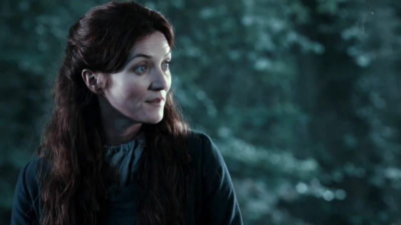   Michelle Fairley ako Catelyn Stark