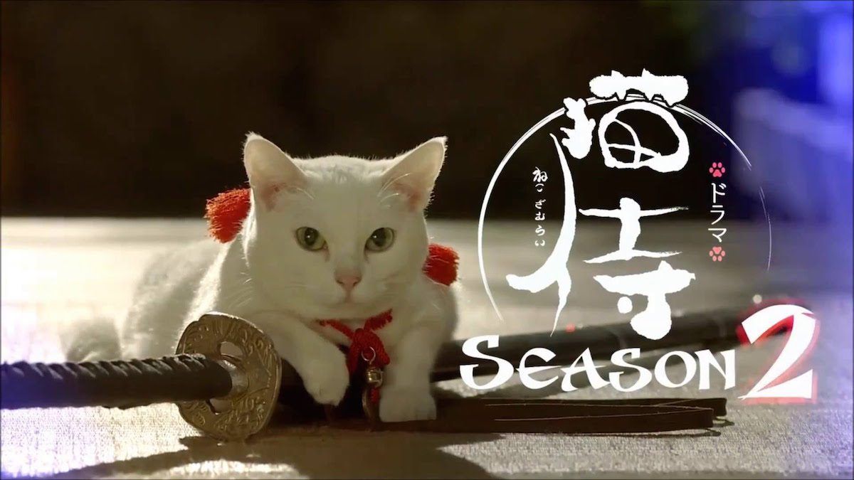 Internet está enamorado de este samurái de televisión japonés amante de los gatos