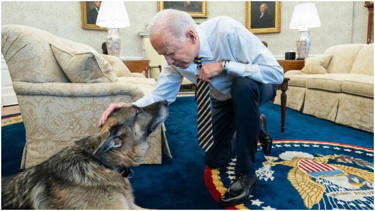 Amit ma láttunk: RIP bajnok Biden, a fiúk legjobbja