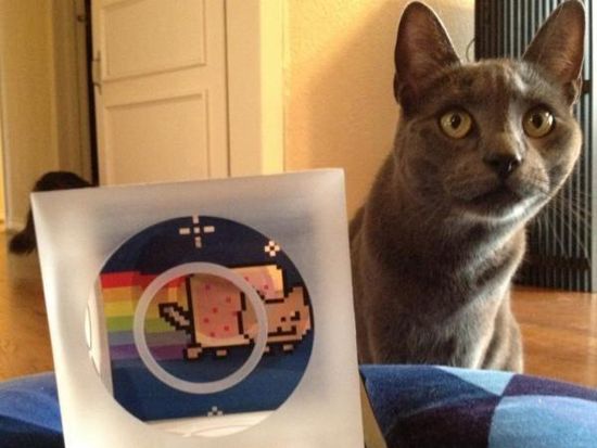 न्यान मांजरीचे निधन झाल्यानंतर शोकात इंटरनेट, सद् केनू नाउ इव्ह सॉडर