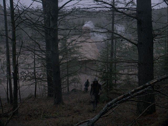 ciemny las w filmie wiedźma