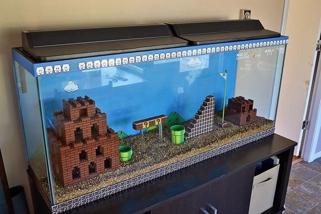 Dieses Super Mario Aquarium ist eine Stufe höher als der Rest
