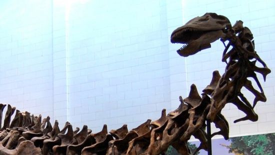 Yeni Teori, Dinozorların Neden Bu Kadar Büyüdüğünü - Özellikle İnanılmaz Boyunlarını - Açıklamaya Çalışıyor