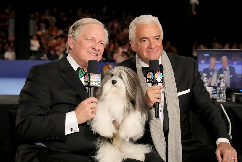 A Geek’s Guide to National Dog Show
