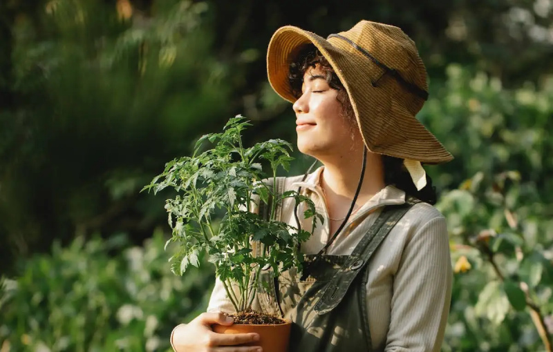   Una mujer con un sombrero de paja flexible sonríe con los ojos cerrados y sostiene una planta de tomate en una maceta. Los árboles son visibles detrás de ella.