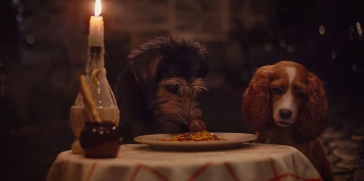 Լավ, բայց ե՞րբ է Լին-Մանուել Միրանդայի շունը ժամանակ ունեցել նկարահանվելու «Լեդիում և թափառաշրջում» ֆիլմում:
