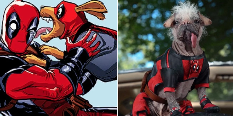   Deadpool a Dogpool v komiksech Marvel vedle hraného Dogpoola