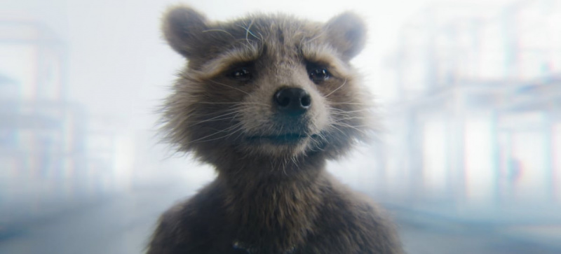 Takže What’s Going to Happen to Rocket v ‘Guardians of the Galaxy Vol. 3'?