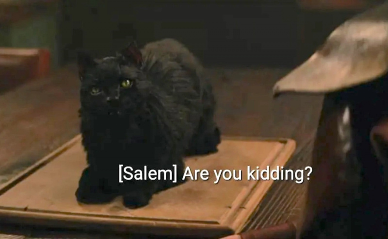  El gato Salem en Las escalofriantes aventuras de Sabrina. Los subtítulos cerrados dicen"Are you kidding me?"