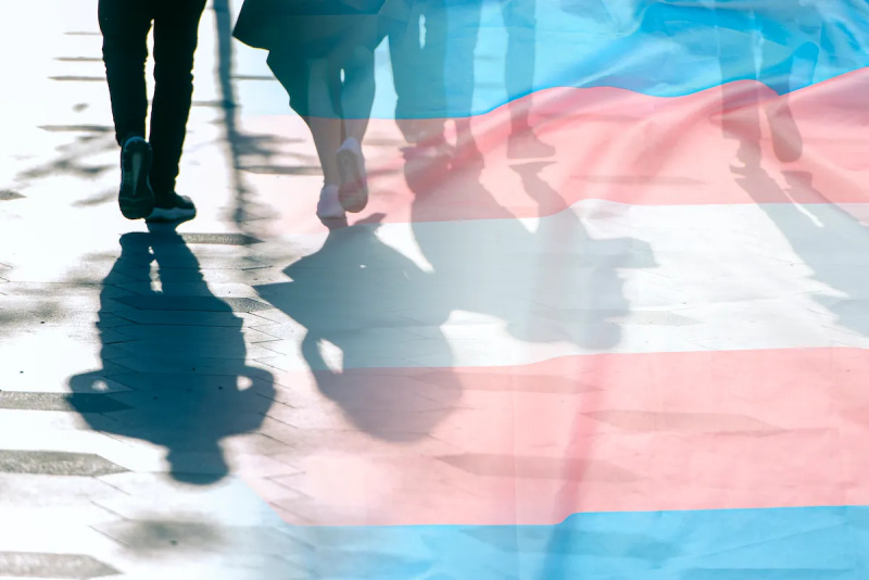 Warga Trans Florida Sekarang Dapat Menghadapi Tuduhan Penipuan karena Hidup Secara Otentik