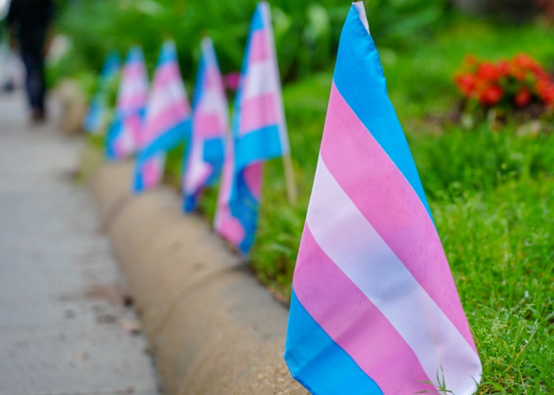  Transgender vlajky na schodech do D.C.