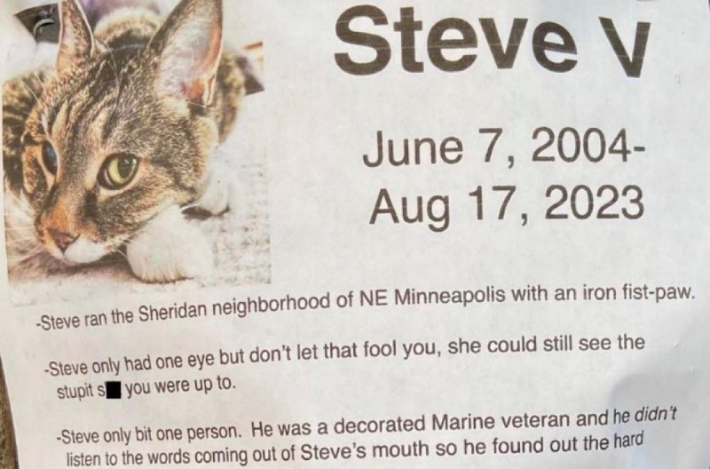  Obituario del gato de Steve V. Imagen de un gato sobre papel blanco con un obituario mecanografiado.
