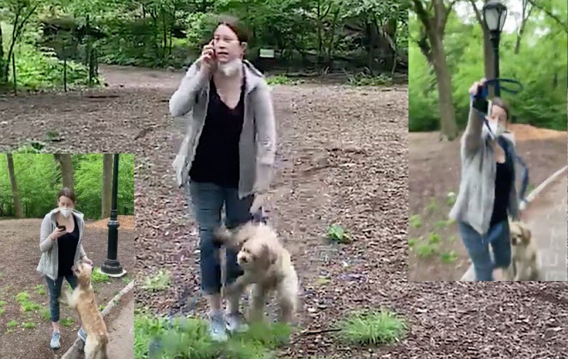  Amy Cooper tira de su perro's leash while calling the police.
