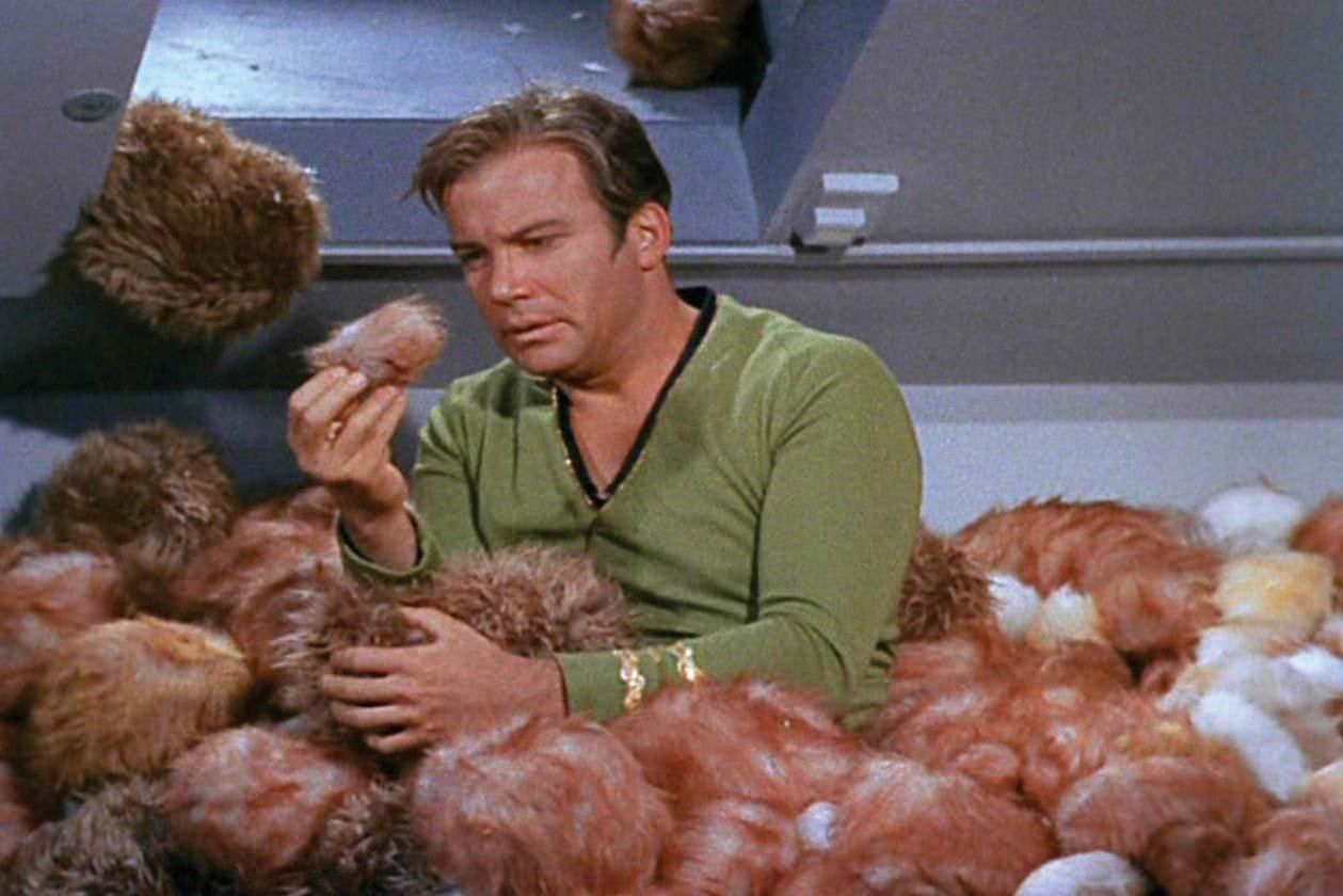 Kaptan Kirk (William Shatner), Star Trek: The Original Series'de kabilelerle ilgilenir.