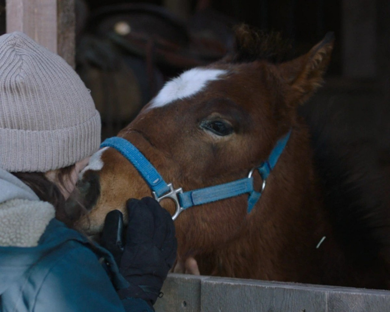 Telur Paskah yang Tidak Perlu di 'The Last of Us' Ini Membuat Gadis Kuda Batin Saya Geeking